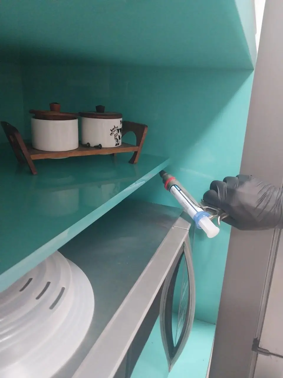 Dedetização de cozinha com aplicação em armário